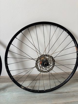 Ruote MTB WTB STX i23 TCS da 29"