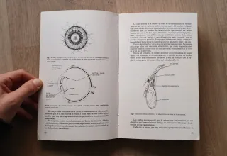 Oftalmología básica