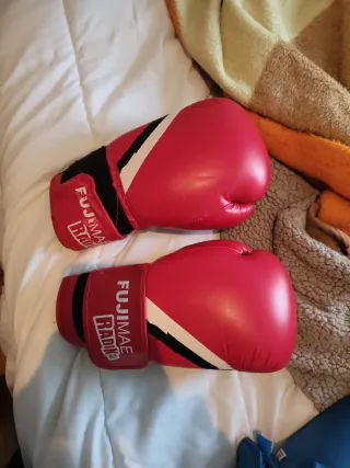 Guantes de boxeo Fujimae Radikal