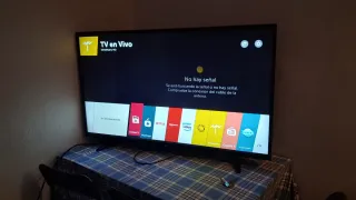 TV LG 50' con mando y pies
