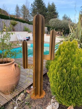 Cactus de Hierro Corten