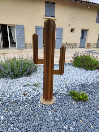 Cactus de Hierro Corten
