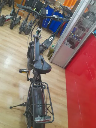 Bicicleta eléctrica Enguie Fat Bike