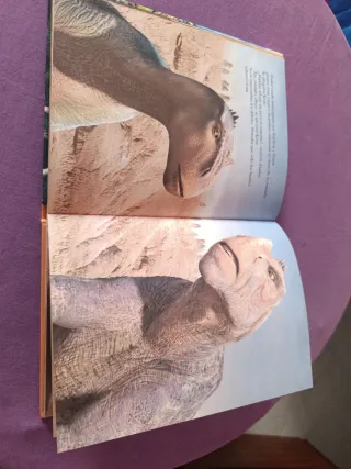 Dinosaurio (Clásicos Disney) (Spanish Edition)