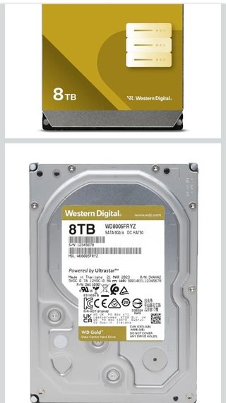 Western Digital WD Gold 8TB WD8005FRYZ Disco duro