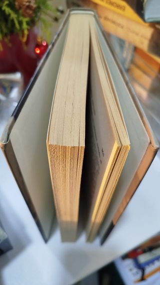 Luchamos y Perdimos (Memorias de guerra)