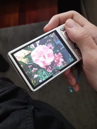 Cámara Olympus Vintage Plata