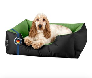 Cuccia cuscino per cane