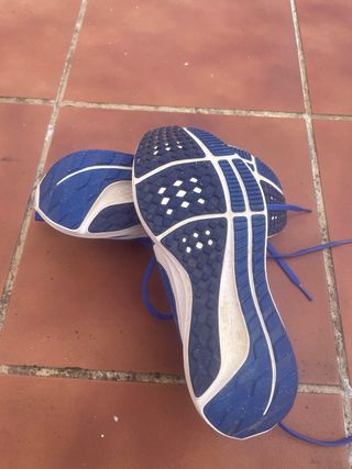 Zapatillas Nike Pegasus 40 Azul/Blanco