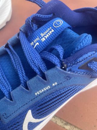 Zapatillas Nike Pegasus 40 Azul/Blanco