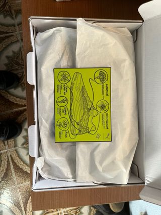 Zapatillas Puma x Harry Potter Negras y Verdes