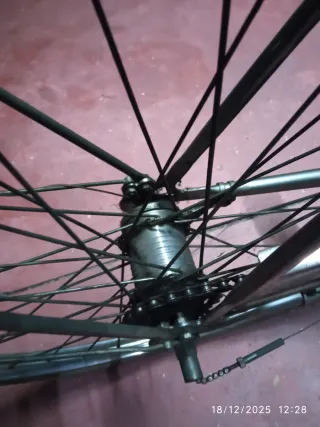 Bici holandesa antigua 3v tambor