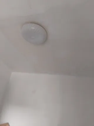 Pintor anti humedad y remodelador estructural