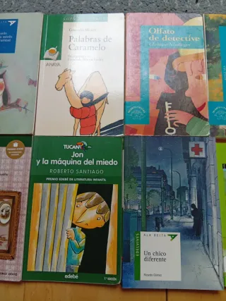 Lote de 10 libros infantiles