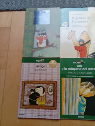 Lote de 10 libros infantiles