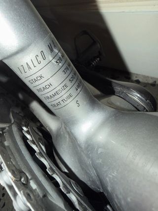 Cuadro FOCUS Izalco Max