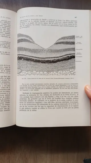 Histología y anatomía microscópica humanas