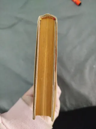 Los pájaros de Bangkok