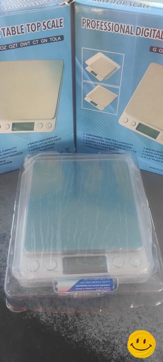 BASCULA DE PRECISIÓN 0,00g Hasta 500g