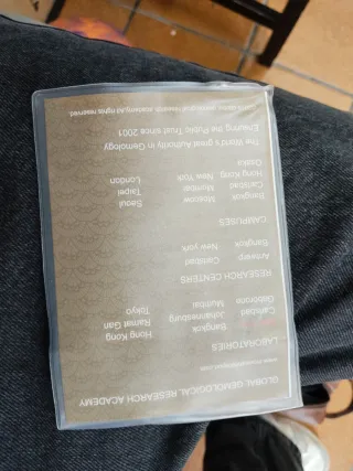 Anillo Moissanita 2ct D+ Certificado Plata