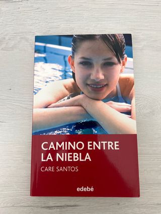 Camino entre la niebla, de Care Santos