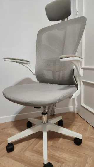 Silla de oficina ergonómica blanco, gris