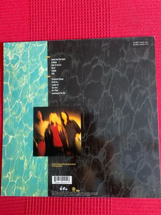 Vinilo Nirvana Nevermind Indie