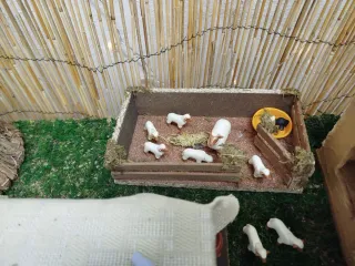 Establo con ovejas y figura de aldeano