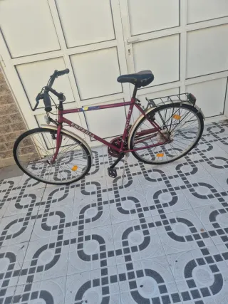 Bicicleta de paseo Esperia