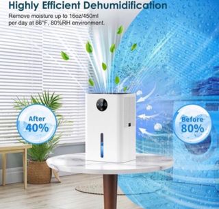 Deshumidificador Electrónico