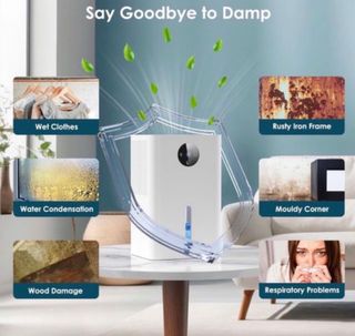 Deshumidificador Electrónico