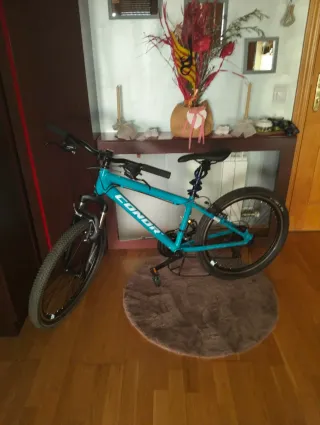 Bicicleta Conor