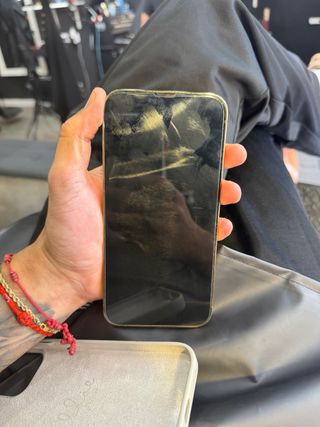 iPhone 13 Pro Max Dorado/Plateado