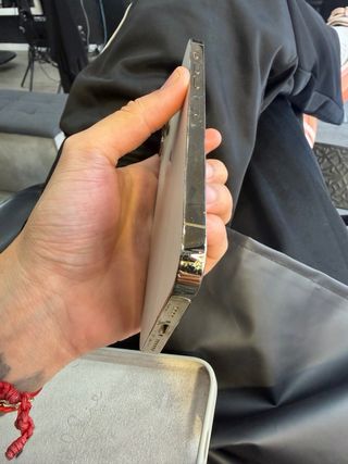 iPhone 13 Pro Max Dorado/Plateado