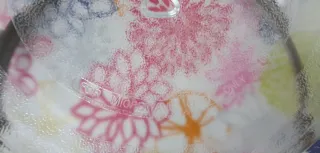 Plato y anillo ruedas microondas