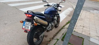 Honda CB 600 Hornet 2005