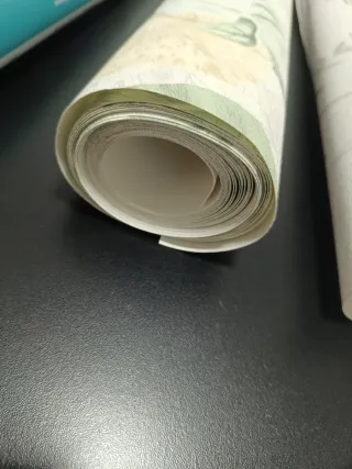 Residui di carta da parati GAULAN