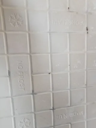 Restos gres suelo/pared Gres Catalán, leer bien