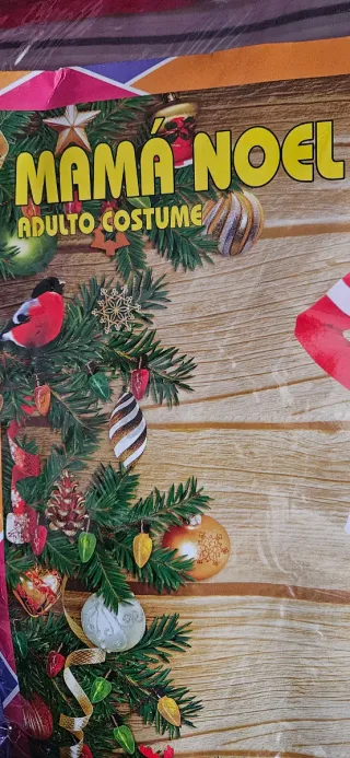 Disfraz Mamá Noel Talla L