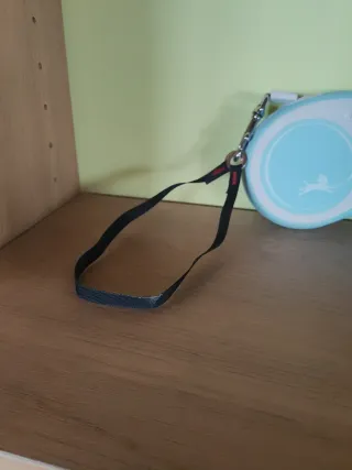 Correa extensible Flexi para perro