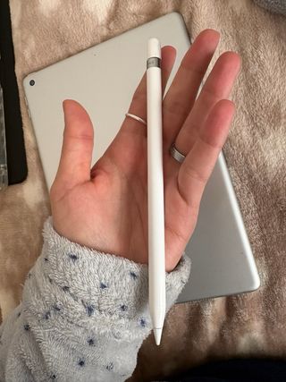 iPad 9ª Gen + Apple Pencil