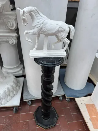 Modello anatomico Cavallo calco accademico