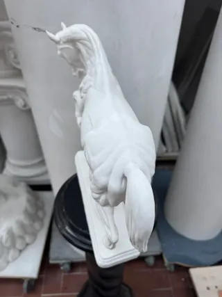 Modello anatomico Cavallo calco accademico