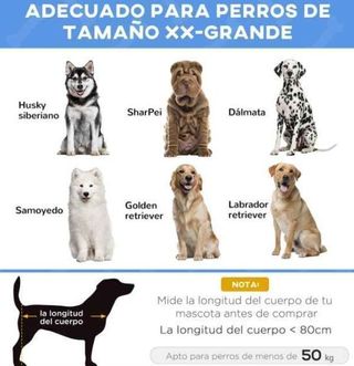 Letto Elevato per Cani e Gatti Portatile