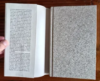 JOSEPH BRODSKY. NO VENDRÁ EL DILUVIO TRAS NOSOTROS