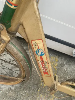 Bicicleta Vintage Clásica