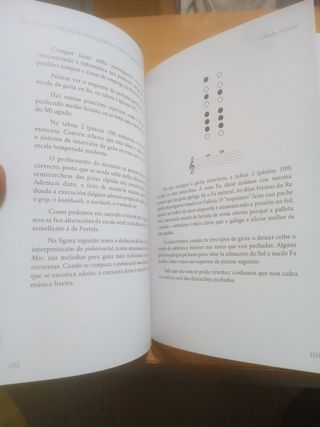 Libro Gaiteiro R.Portela
