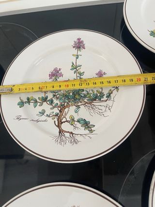 Villeroy & Boch Platos Llanos Botanica