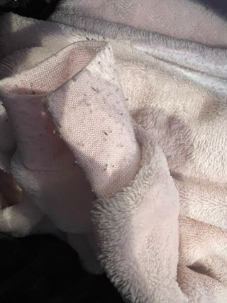 Pijamas niña talla 12-18 meses