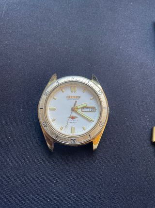 Citizen WR100 Reloj Automático Dorado